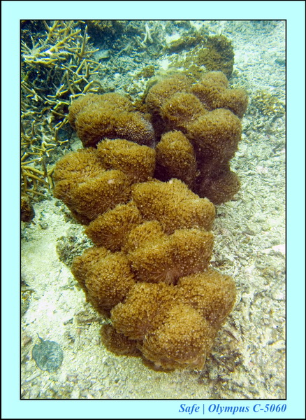 2008 - 07 - Perhentian - 044